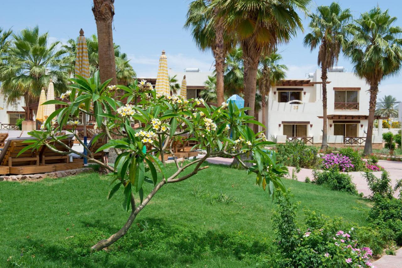 Amphoras Aqua Sharm El Sheikk Exterior foto